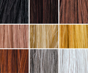 Toppik hair color options